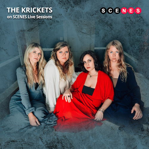 The-Krickets--Cover-Art